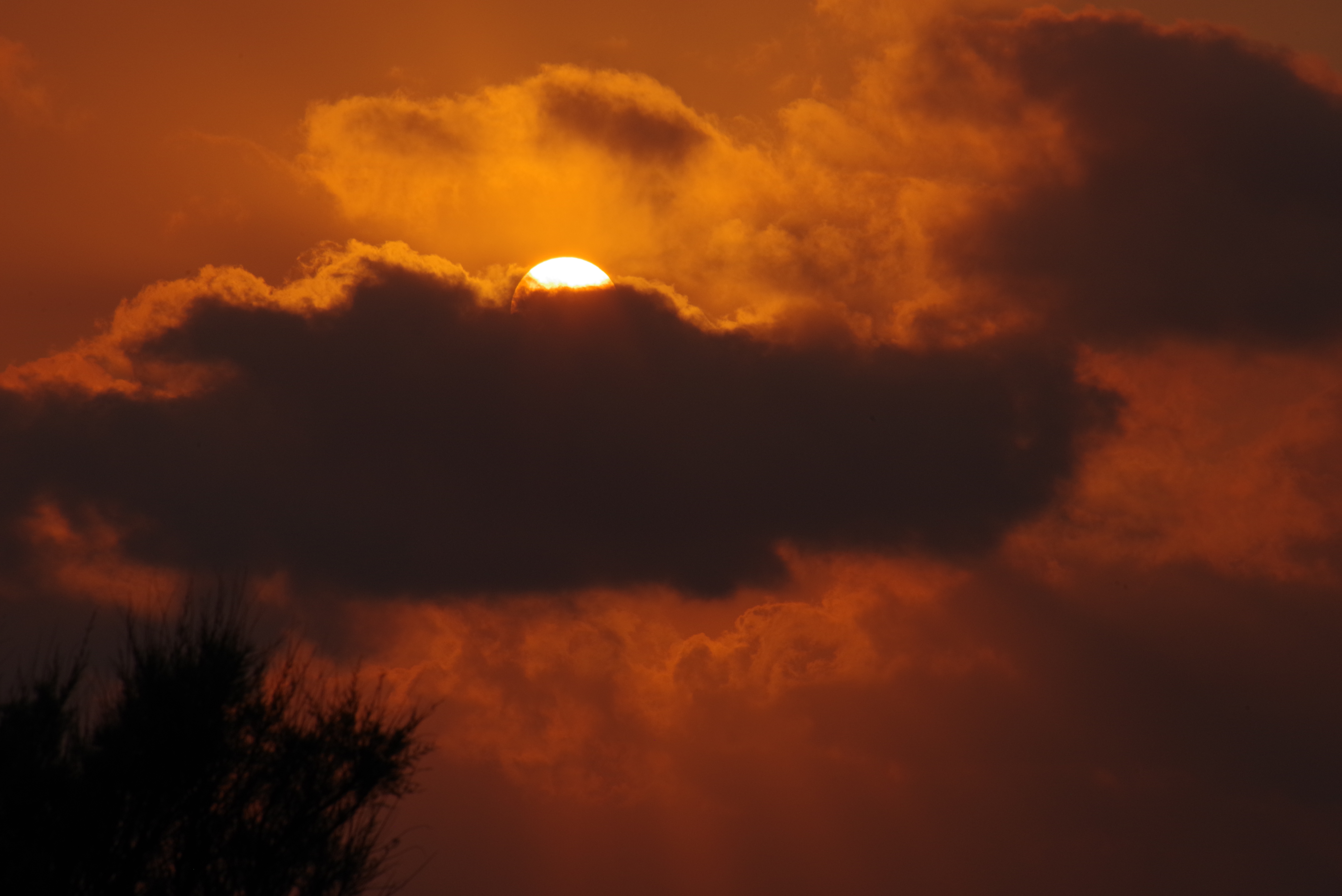 La soirée des lucioles, balade à la frontale en famille
