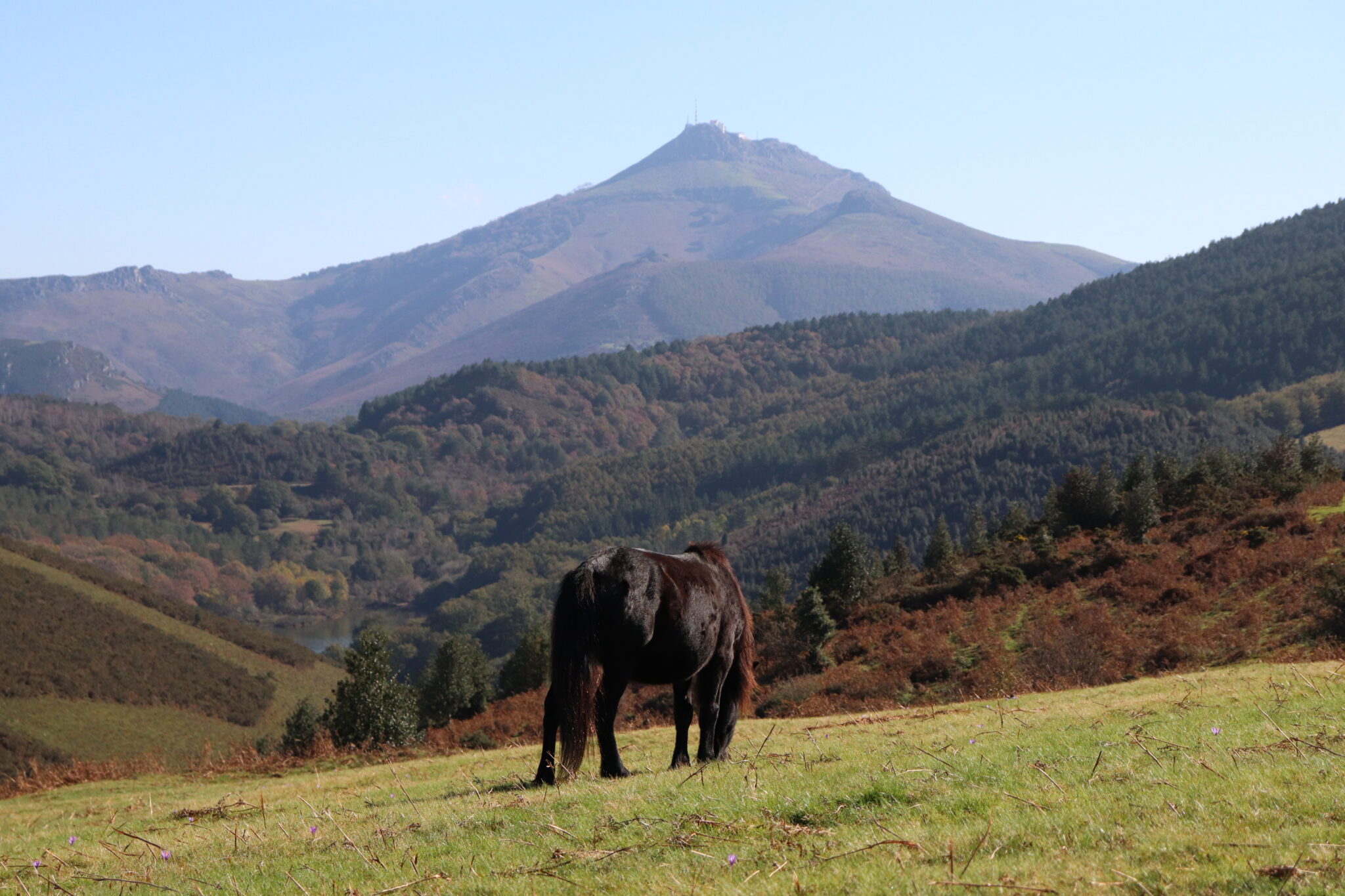 Crépuscule gourmand sur le Xoldokogaina