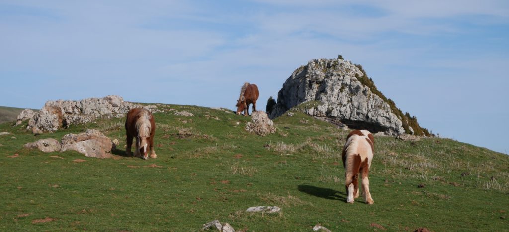 Randonnée Pays Basque Paysage kartsique et pastoralisme